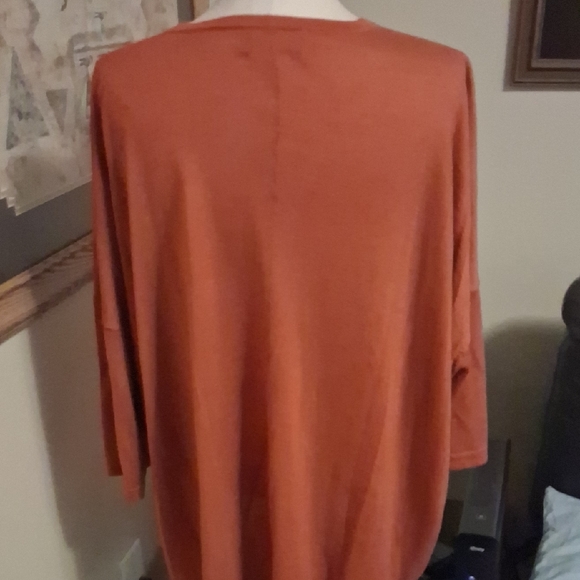 Eskandar Terracotta Tunic Top - Picture 3 of 4